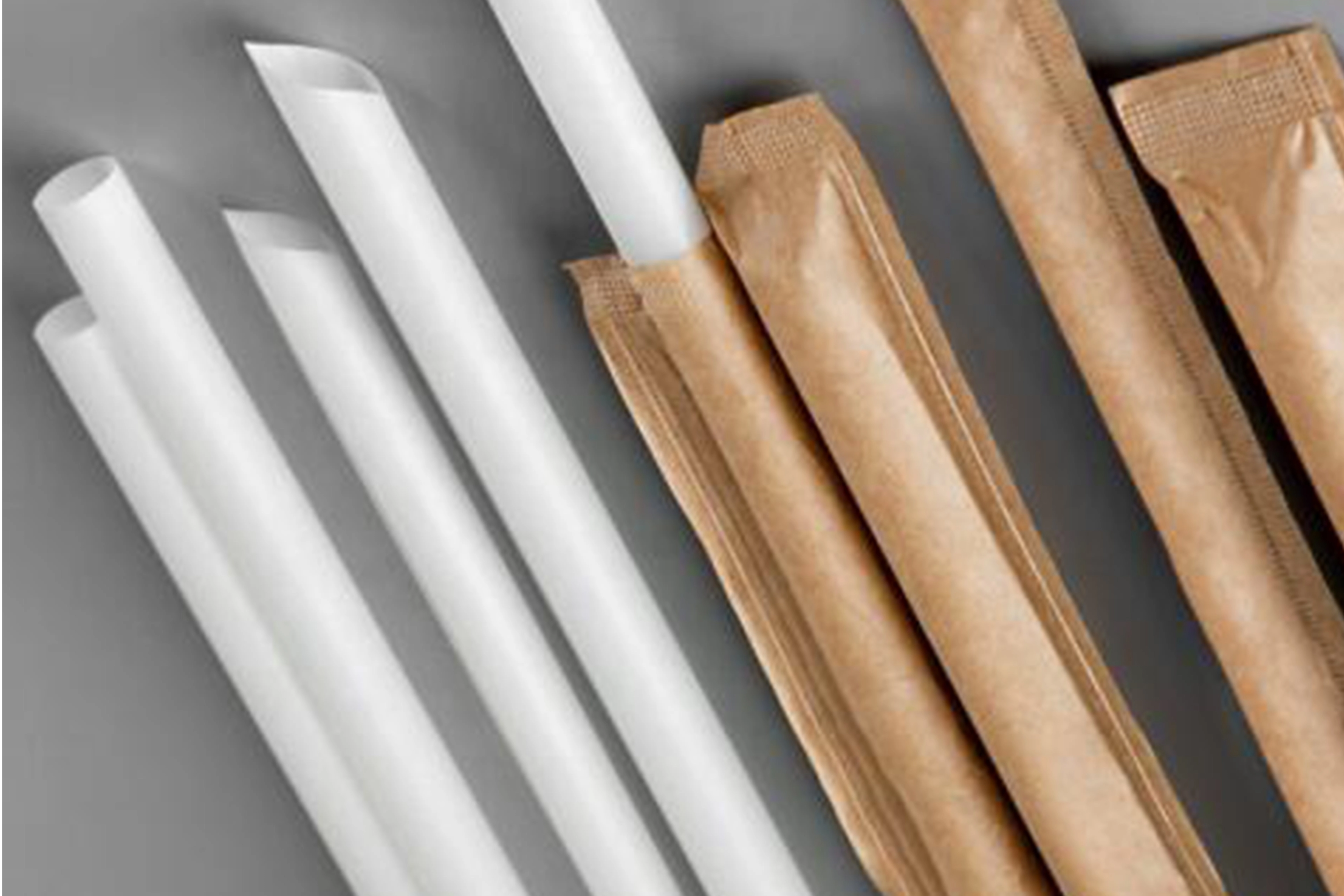 Degradable Straw